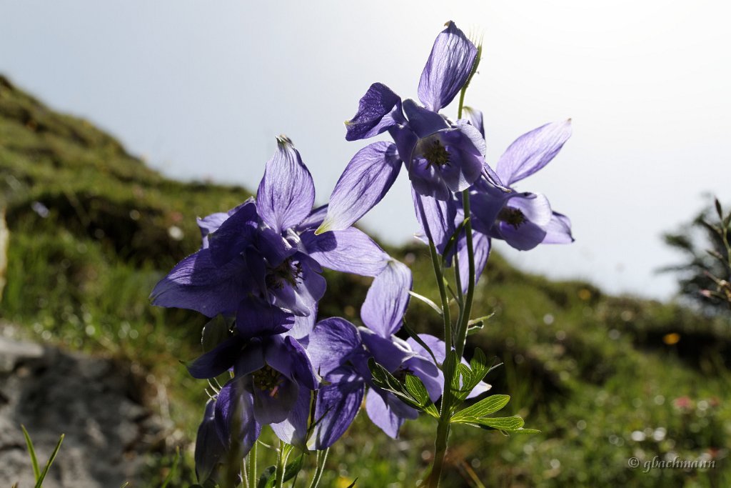 20120630_235
